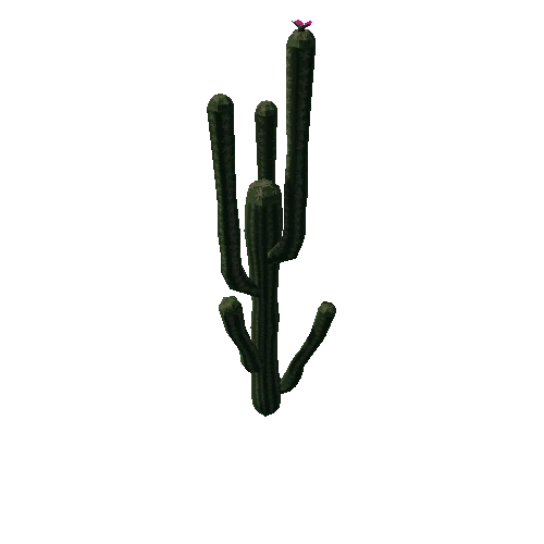 cactus1d