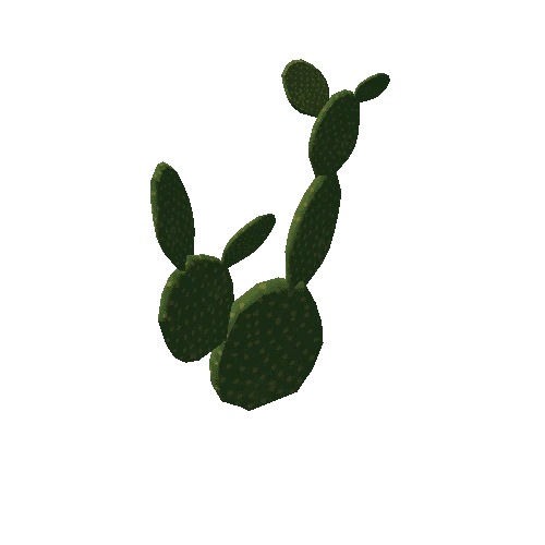 cactus4a