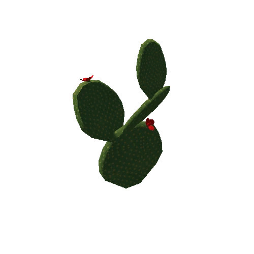 cactus4b