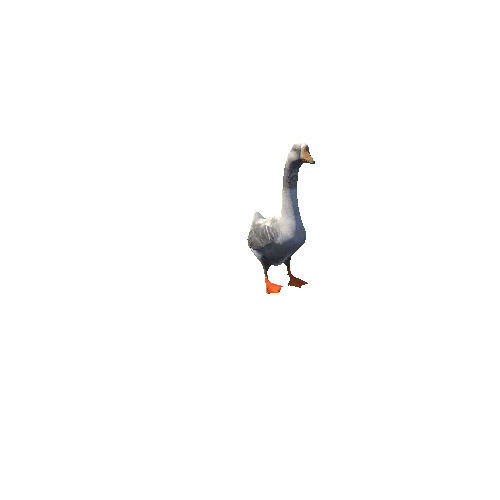 goose_midle