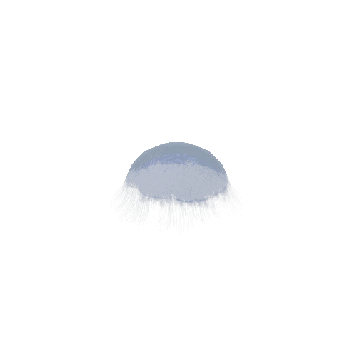 jellyfish