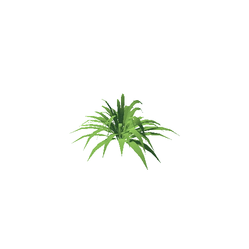 Plant_b_01