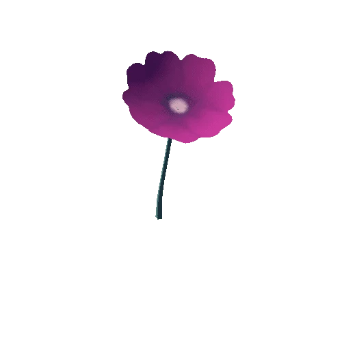 Flower_1_s3