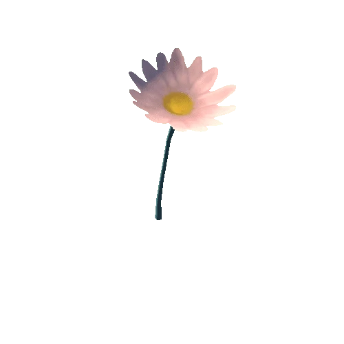 Flower_3_S3