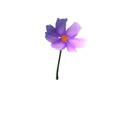 Flower_4_s2
