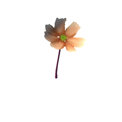 Flower_4_s5