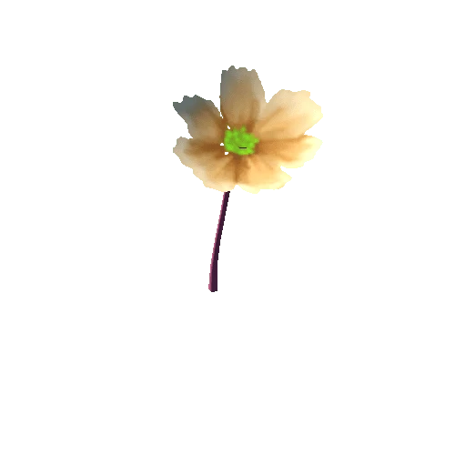 Flower_6_s5