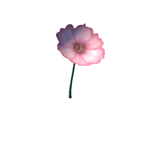 Flower_7_s1