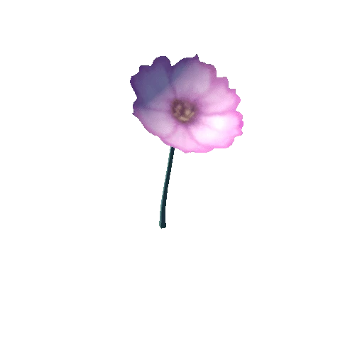Flower_7_s3