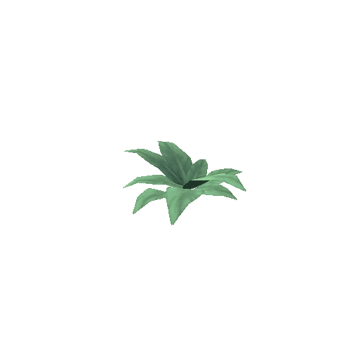 Leaves_1_s4