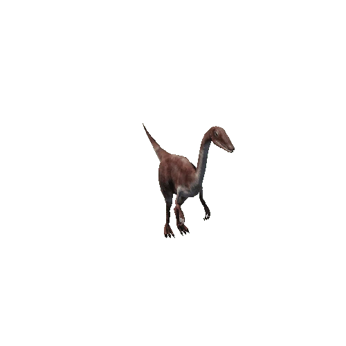 compsognathus_anim_Prefab