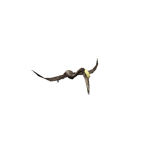 quetzalcoatlus_anim_Prefab