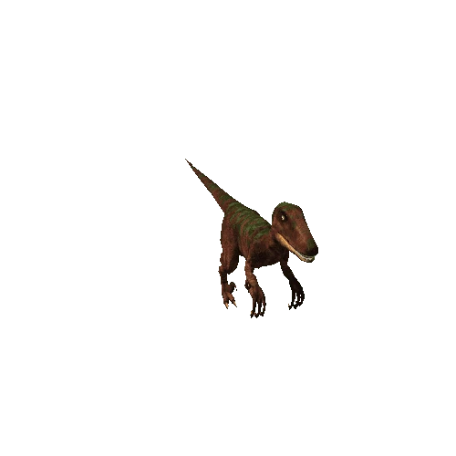 velociraptors_anim_DX11