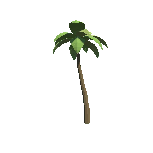 Palm_Tree