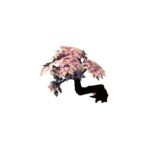 FantasyBonsai_s12