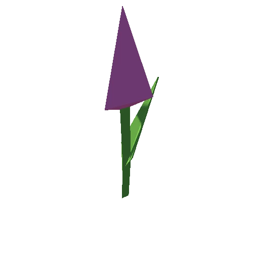 Flower_tulip_violet_pal