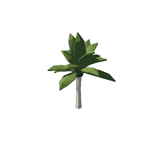 Tree_Palm_02