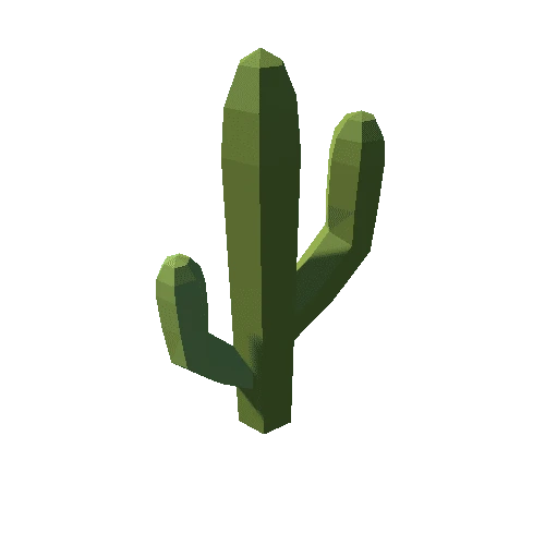 Cactus_B