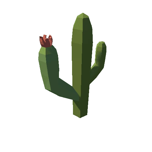 Cactus_C