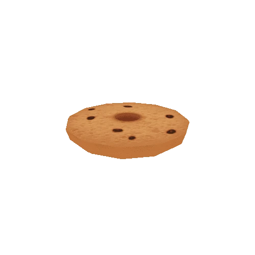 Bagel_Raisin_Bottom