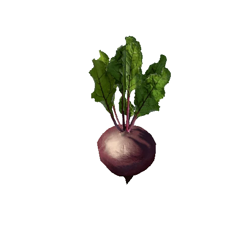 Beet