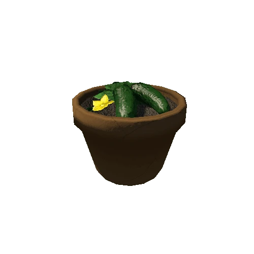 Cucumber_Pot