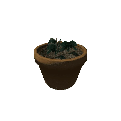 Radishes_Pot