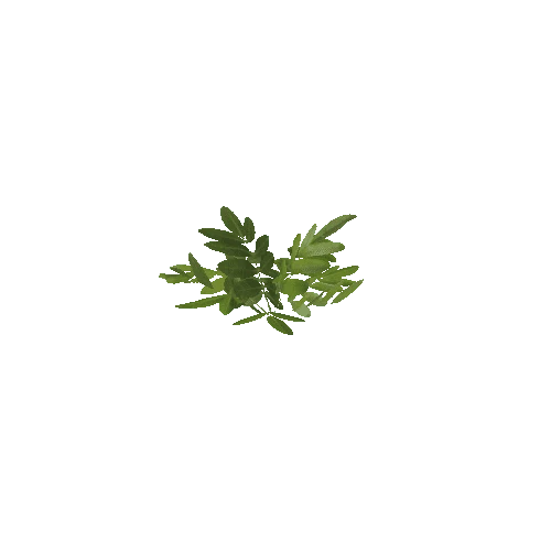 Plant_I2_LOD_1