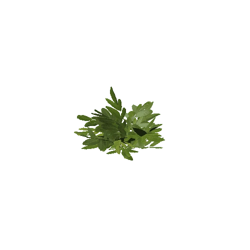 Plant_I3_LOD_0