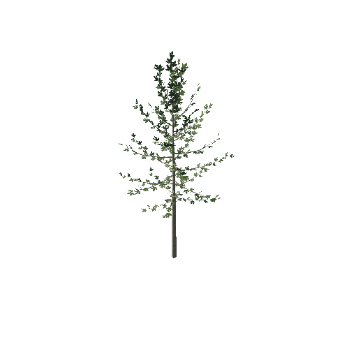 tree_prefab