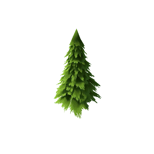 spruce1