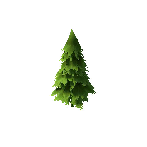 spruce2