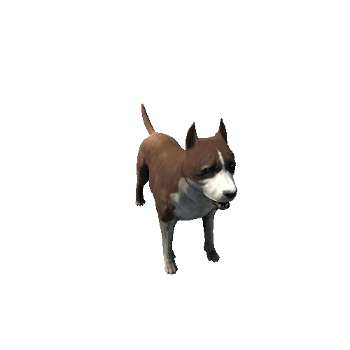 Amstaff01_SV_RM_LP_Brown