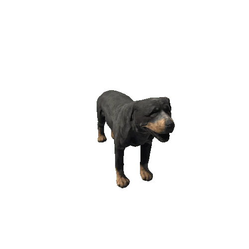 rottweiler_sv_rm_LP