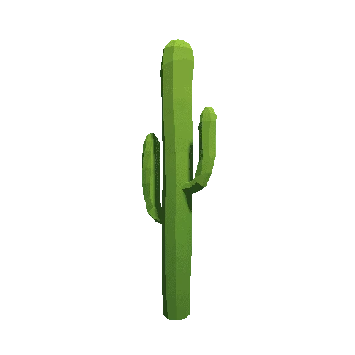 Cactus_A_01
