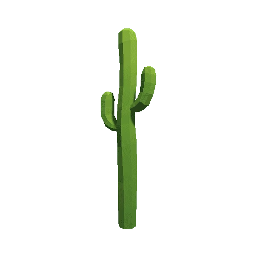Cactus_A_02