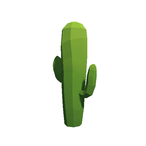 Cactus_A_03