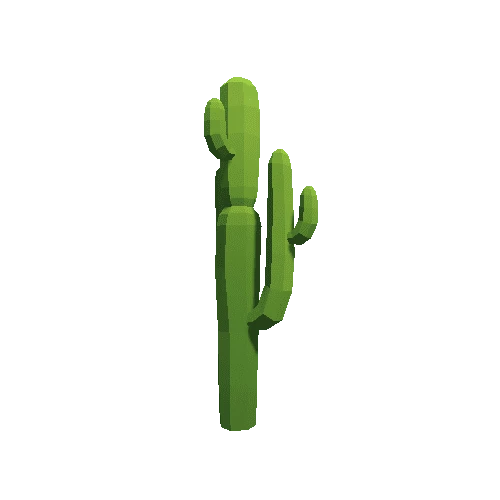 Cactus_A_04