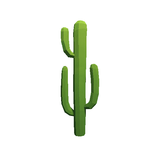 Cactus_A_05