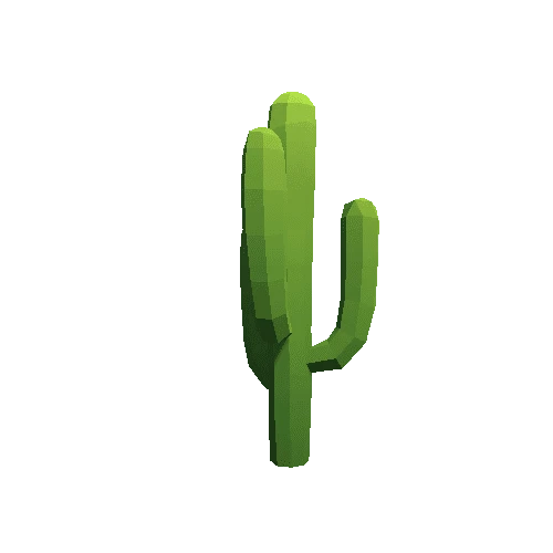 Cactus_A_06