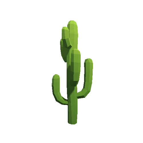 Cactus_A_08