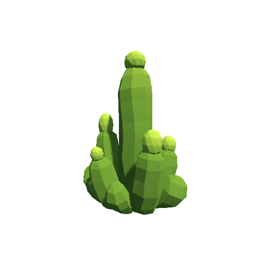 Cactus_A_10