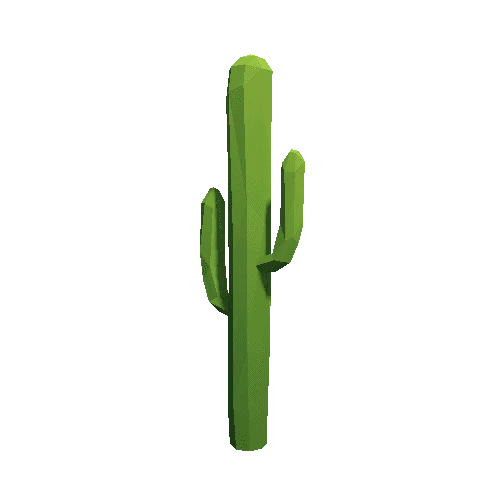 Cactus_A_LP_01