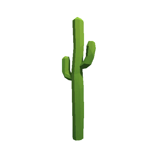 Cactus_A_LP_02