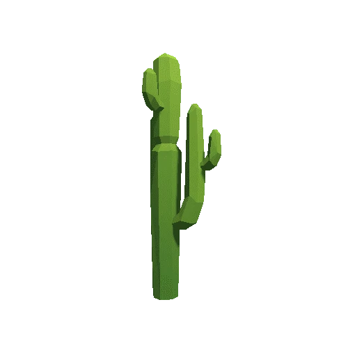 Cactus_A_LP_04