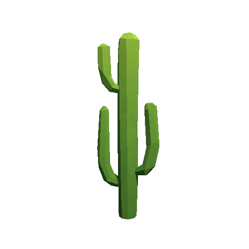 Cactus_A_LP_05