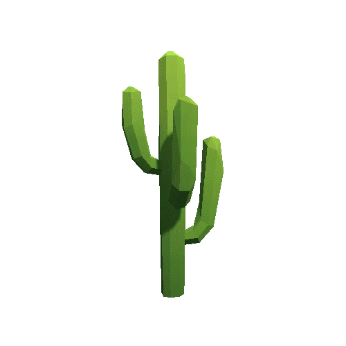 Cactus_A_LP_07