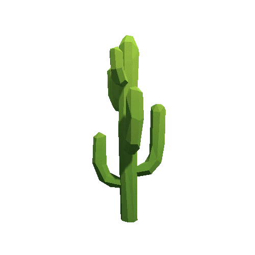 Cactus_A_LP_08