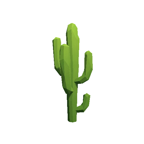 Cactus_A_LP_09