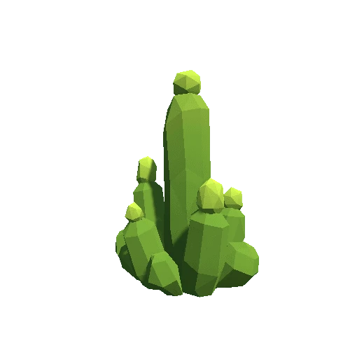 Cactus_A_LP_10